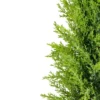 Northlight 1.4 FT Upswept Frosted Cedar Artificial Christmas Tree - Unlit 2 Northlight 1.4 FT Upswept Frosted Cedar Artificial Christmas Tree - Unlit -Northlight GUEST f6121c80 3b47 481f ac22 01731b768b5c