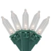 Northlight LED Mini Christmas Lights - Warm White - 15.75’ Green Wire - 50ct