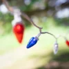 Northlight C7 LED Fourth Of July Lights - Red, Blue And White - 16' White Wire - 50ct 2 Northlight C7 LED Fourth Of July Lights - Red, Blue And White - 16' White Wire - 50ct -Northlight GUEST ff368e53 6717 4ea4 bea6 c8dc93743c1d 1